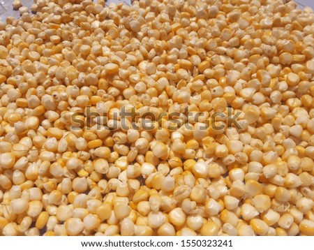 Corn Kernels Full HD Images