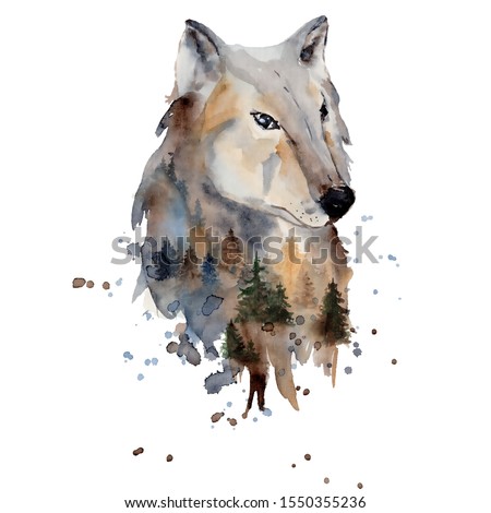 Watercolor wolf illustration wild forest animal with double exposure effect and pine trees 