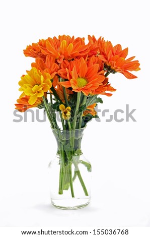 Lovely arrangement of Orange Chrysanthemums in clear glass vase against white background.