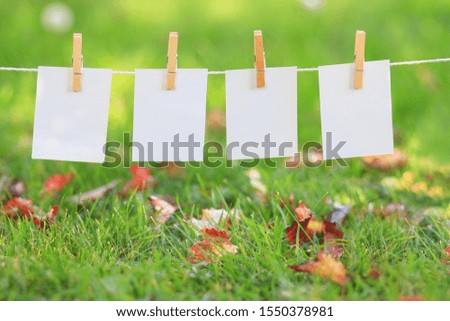 Blank paper signs hanging in a row above autumn leaves in the grass
