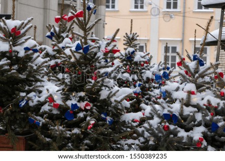 many Christmas tree in the snow,Christmas tree background with snow covered outdoors in winter, selling Christmas trees