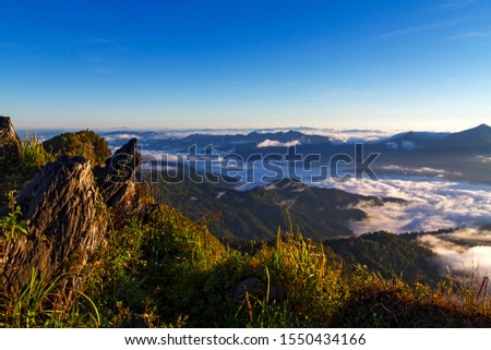 Sunlight morning batter mountain idyllic with fog on viewpoint at Doi Pha Tang Chiang Rai province, Thailand