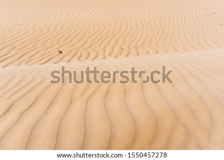 Texture sunny sand beach wavy and uneven