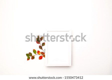 Autumn background with natural decor. White photo frame, autumn dried leaves. Flat lay, top view. Copy space for seasonal promotions and discounts