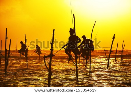 Silhouettes of the traditional fishermen at the sunset near Galle in Sri Lanka.   Royalty-Free Stock Photo #155054519
