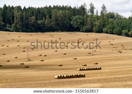 Hay bale. Agriculture field with sky. Rural nature in the farm land. Straw on the meadow. Wheat yellow golden harvest in summer. Countryside natural landscape.