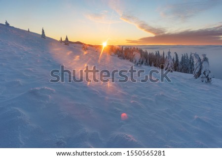 Winter landscapes from the Ukrainian Carpathian Mountains with many fogs and snowy slopes of mountains and trees in the frame	
