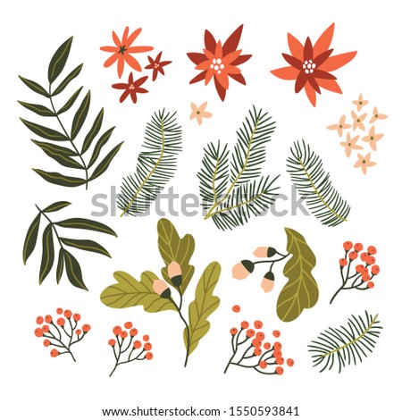 Vector collection with Christmas flowers, branches and leaves isolated on the white background. Hand-drawn decor elements. Poinsettia vector set.