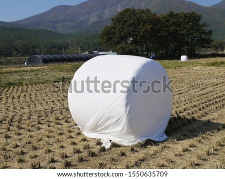 This is a picture of a haystack wrapped with straw to feed cows.
