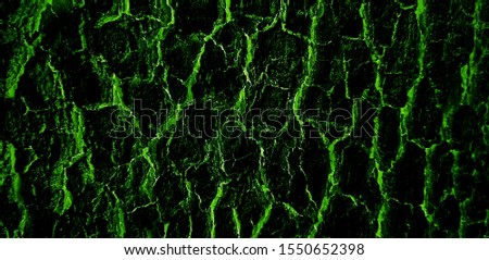 Abstract closeup of a black and green tree bark texture background