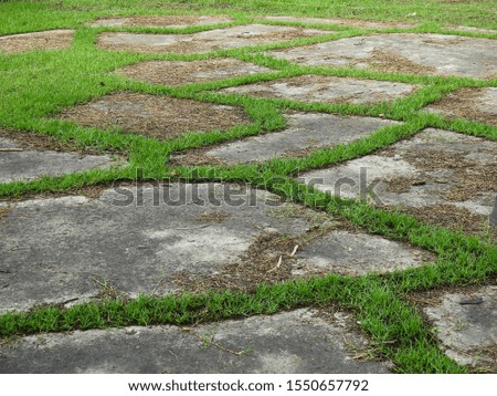 abandoned concrete floor with green grass on the lawn 