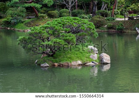 Beautiful japanese traditional park in summer time