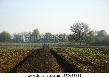View of agricultural fields in autumn