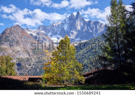 Autumnal tree on a background of Alpine mountains in Chamonix Valley. Alps, France. Mountain landscape.