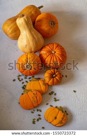 Assortment of autumn pumpkins with pumpkin seeds isolated on a white concrete background. Vegetarian healthy food concept