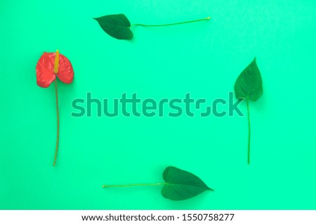 One red anthurium with leaves forms a frame. Flat lay. Copy space.