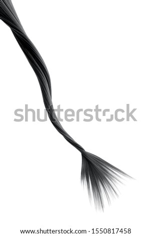 Black twisted hair on white background, isolated. Looks like animal tail