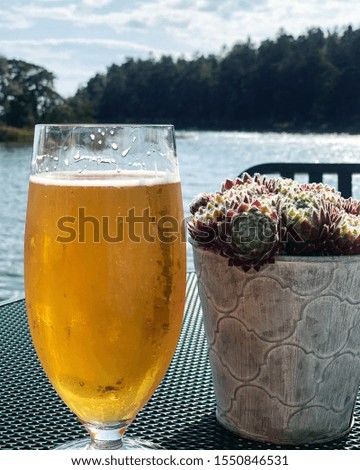 A plastic glass of beer next to some cool plants in a pot with water and trees in the background 