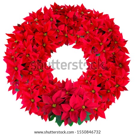 Wreath with Christmas red potted flowers