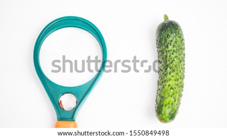 green cucumber and magnifier on a white background
