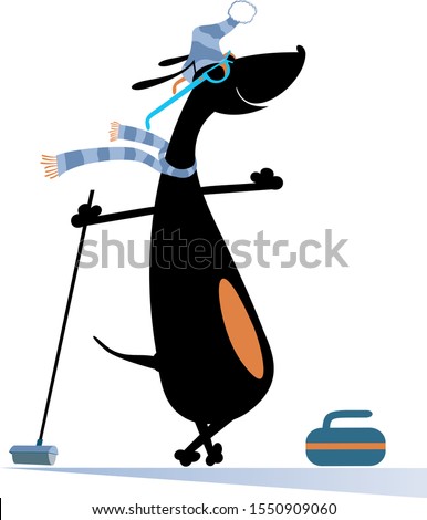 Smiling dog plays curling isolated illustration. Cartoon dachshund with a curling brush and a stone isolated on white illustration
