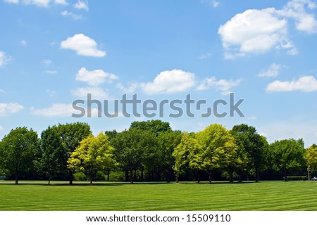 Tree Line with Sky Royalty-Free Stock Photo #15509110