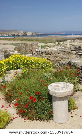 Flowers in bloom among ancient Greek ruins on a sunny day Delos Greece
