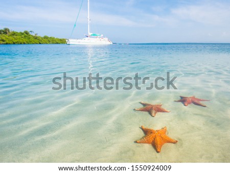 Three beautiful starfish in the sea water and white yacht on background in Bocas del Toro, Panama Royalty-Free Stock Photo #1550924009