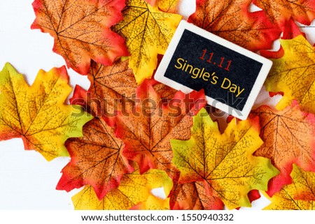 Online shopping of China, 11.11 single's day sale concept.  