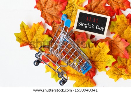 Single's day sale concept of China, 11.11. The shopping cart on maple leaf and text 11.11 single's day sale with copy space.