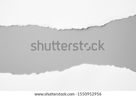 white torn paper on gray background. collection paper rip Royalty-Free Stock Photo #1550952956