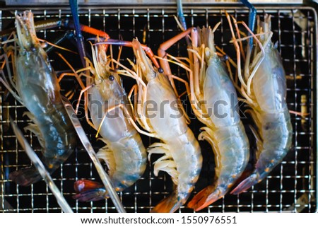 Top view group of fresh shrimps prawns grilling on rack charcoal stove. cooking seafood bbq party camping outdoor.