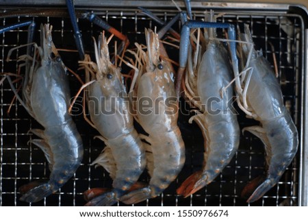 Top view group of fresh shrimps prawns grilling on rack charcoal stove. cooking seafood bbq party camping outdoor.