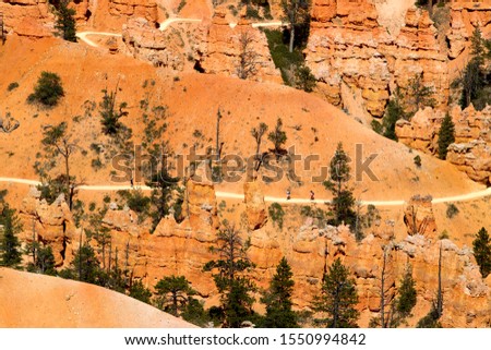 Rock formations and hoodoos, Sunset Point, Bryce Amphitheater, Bryce Canyon National Park, Utah, USA.