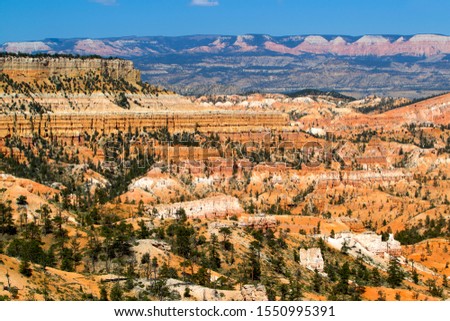 Beautiful colours in the Canyon, Bryce Canyon National Park, Utah, USA.