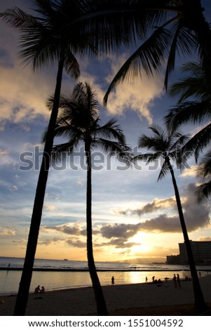 Waikiki Beach at Sunset, O`àhu Island, Hawaii, USA.