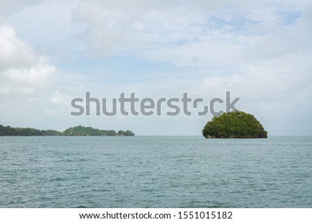 Los Haitises National Park mangroves, caves,rich tropical forest, multicolored tropical birds and manatees. The coast is dotted with small islets where frigates and pelicans nest,Dominican republic
