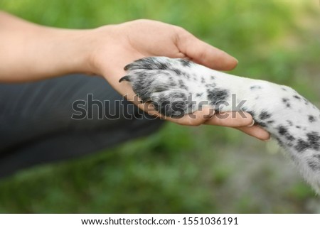 Woman holding dog's paw outdoors, closeup. Concept of volunteering Royalty-Free Stock Photo #1551036191