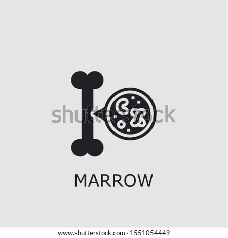 Professional vector marrow icon. Marrow symbol that can be used for any platform and purpose. High quality marrow illustration. Royalty-Free Stock Photo #1551054449