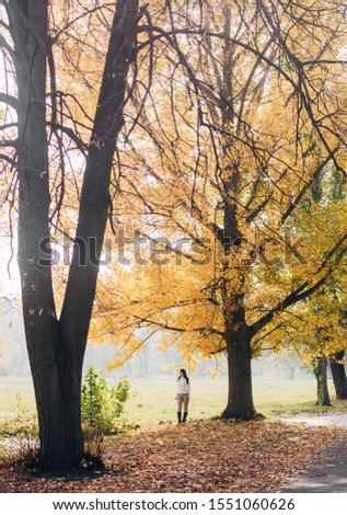 Young lovely brunette women in the autumn park.Bright sunny day.Fallen colorful leaves background.