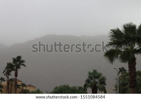 A dust storm, also called a haboob, hits a city of palm trees in the valley 3690