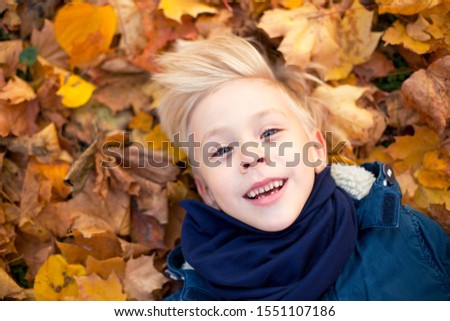 Close portrait of a blond boy on an autumn day. the child lies on a pile of autumn leaves and laughs