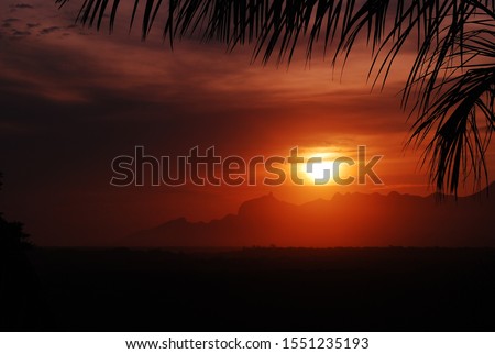 silhouette sunset in the jungle, palm trees, Barra do Una Jureia Itatins São Paulo Brazil 