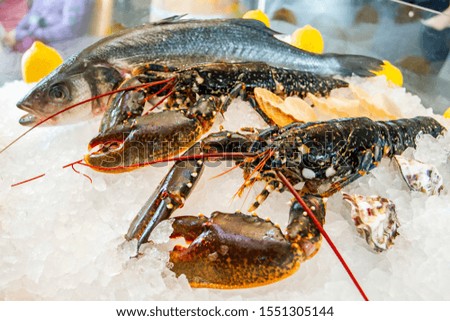 Close up image of fresh lobster and sea food on ice.