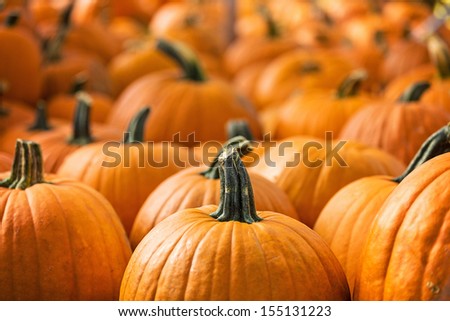 Pumpkin Stalks Royalty-Free Stock Photo #155131223