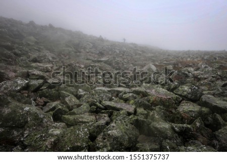 Tundra view by rainy weather, Polar Urals, Russia