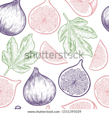 Sweet figs. Vector seamless pattern. Vintage style
