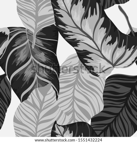 Black Jungle Foliage Vector Seamless Pattern. Black Popular Palm Print California Design. Smoke Leaf Fabric Wallpaper. Graphite Monstera Tree Background