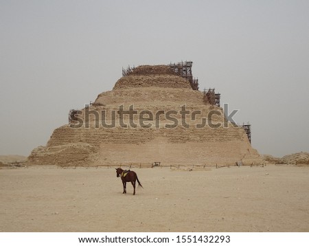 in the photo a horse against the background of the Egyptian pyramid