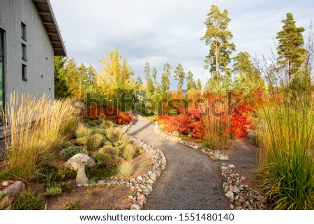 view during sunset in fall along garden path  between beautiful decorative grasses and flaming red japanese maples